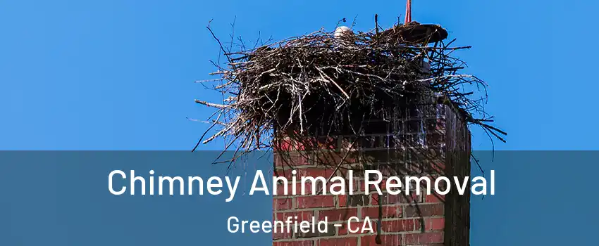  Chimney Animal Removal Greenfield - CA