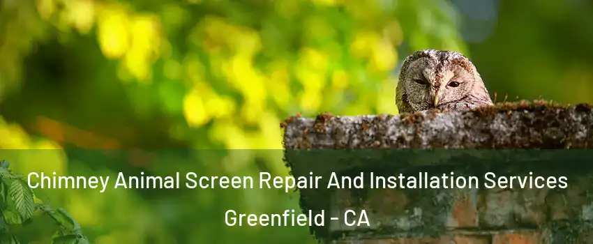 Chimney Animal Screen Repair And Installation Services Greenfield - CA