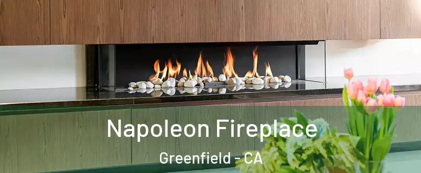  Napoleon Fireplace Greenfield - CA